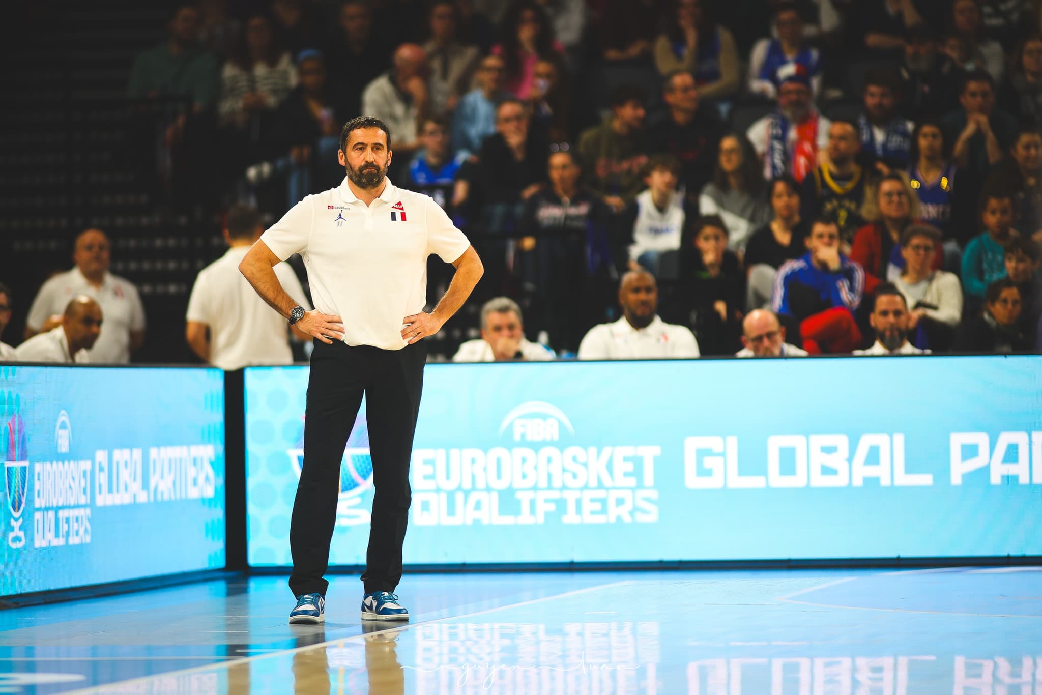 « Absences do not weigh down ambitions » for Team France at EuroBasket