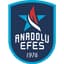 Anadolu Efes Istanbul