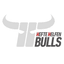 KapfenBerg Bulls