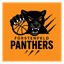 Panthers Fürstenfeld