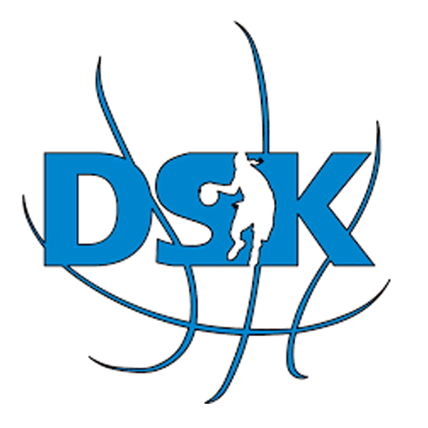 DSK Basketball Brandys