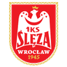 Sleza Wroclaw féminin