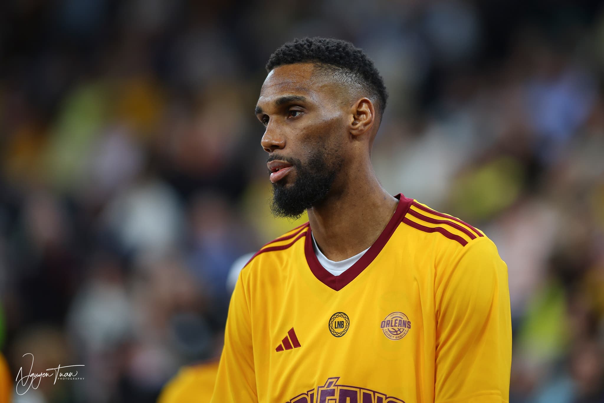 Interview with Ludovic Negrobar, Orleans pillar: « Being captain of an ambitious team is what motivates me every day »