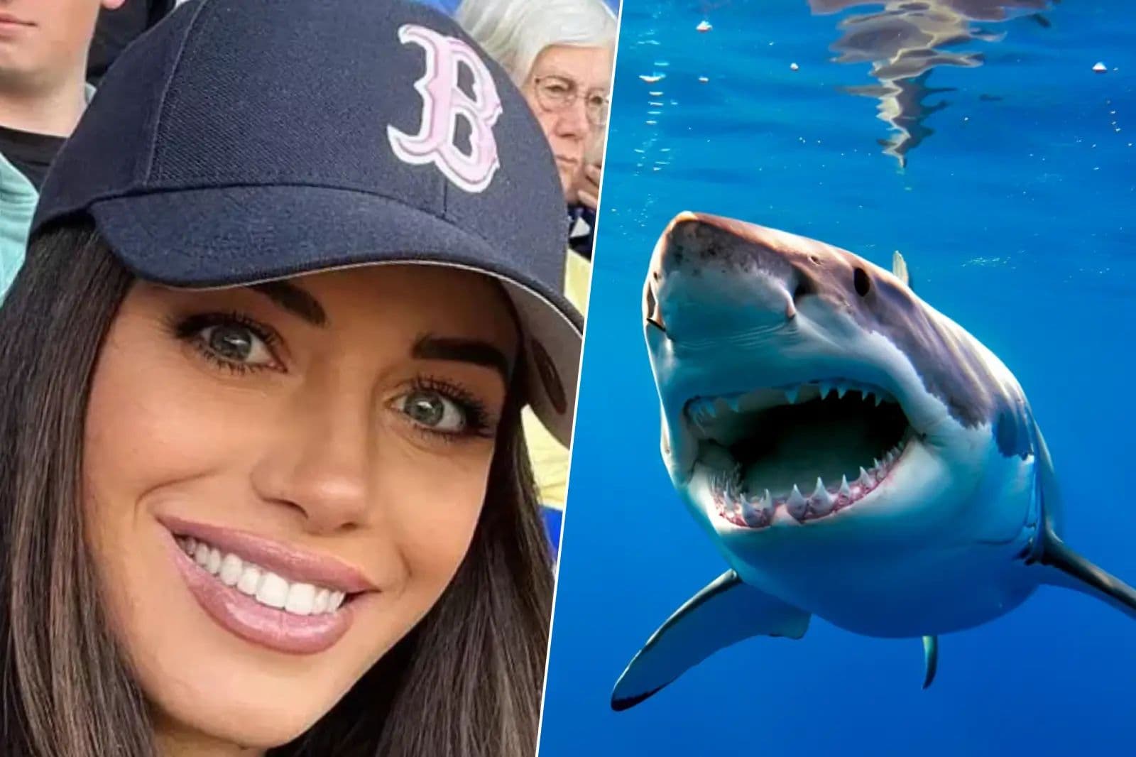 Former NBA player affected by shark attack!