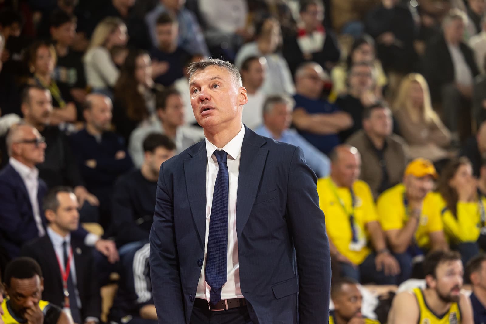 Fenerbahçe and NBA in Europe: « We are seeking the ideal path »