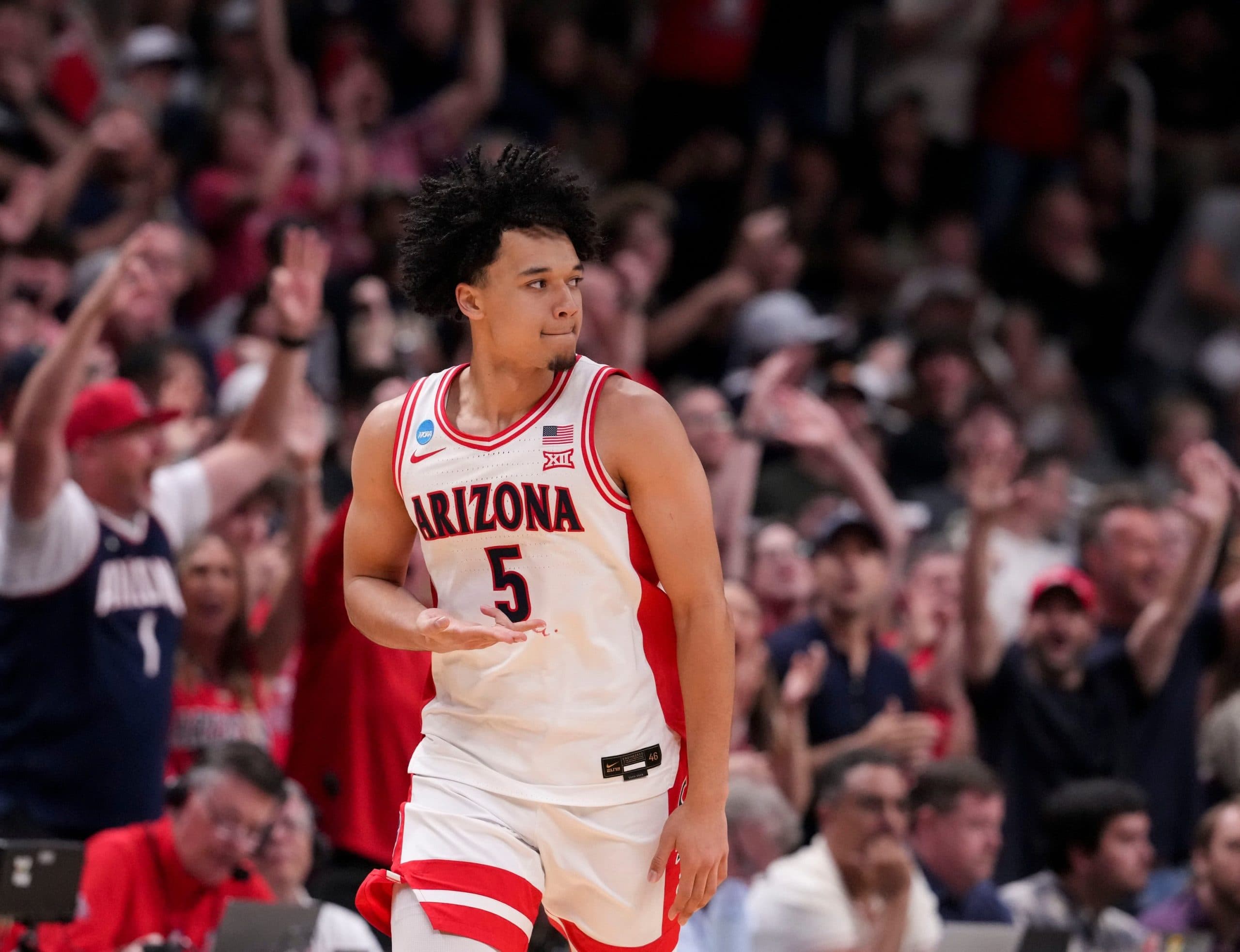 March Madness: Illinois and Arizona Qualify for the 2026 Final Four