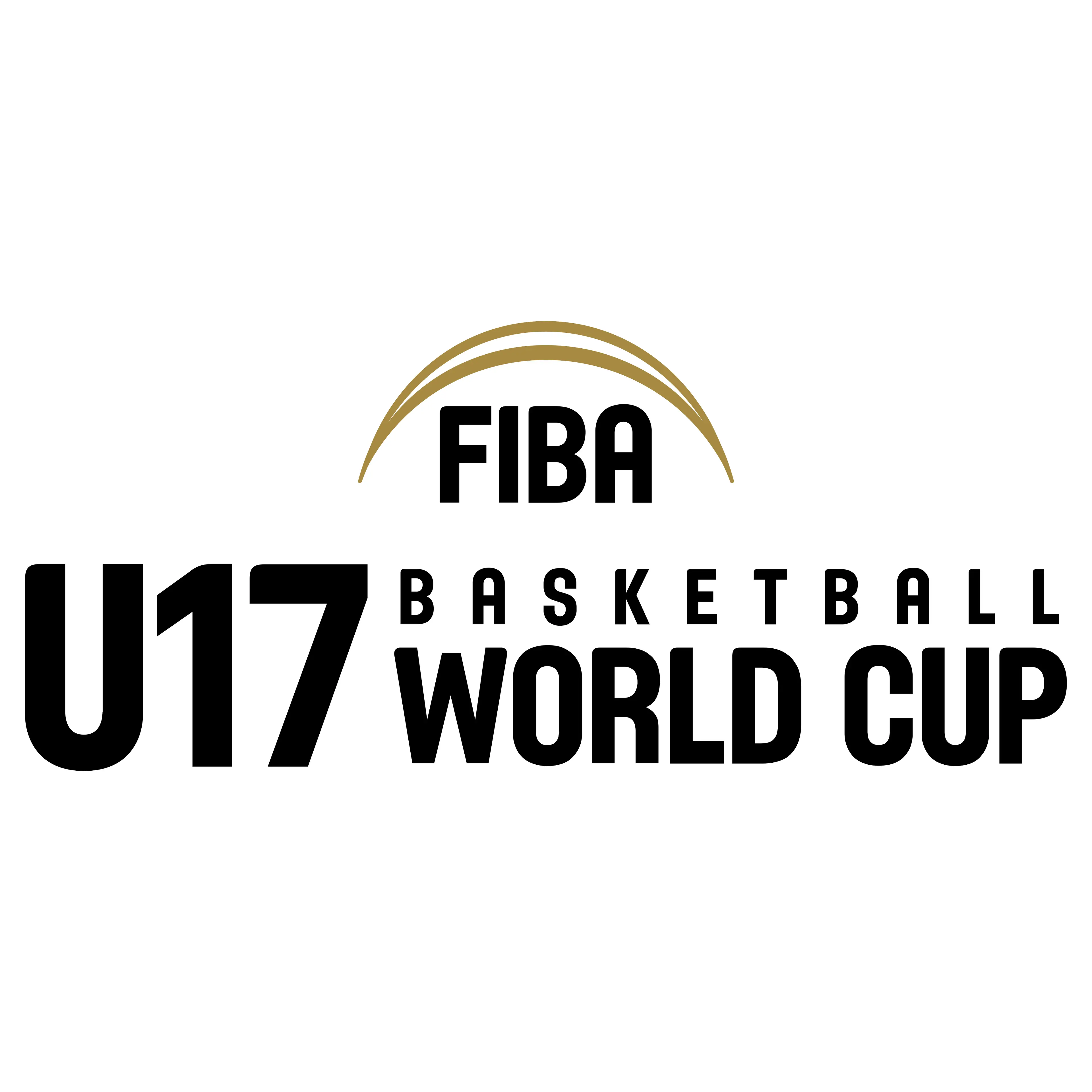 Coupe du Monde U17