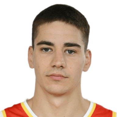 Balsa ZIVANOVIC