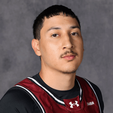 Christian VILLEGAS