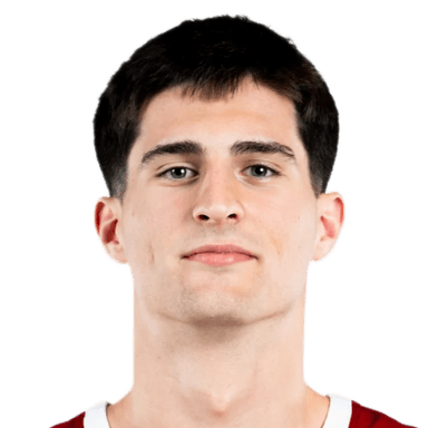 Dino SUBAŠIĆ