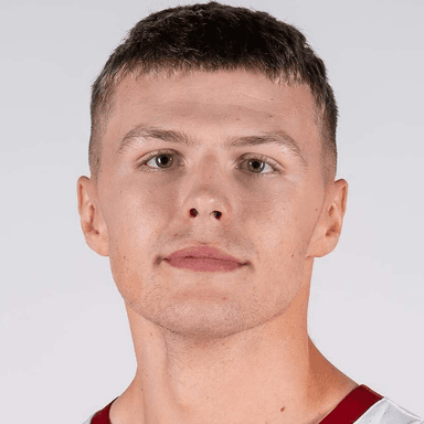 Elmir DZAFIC