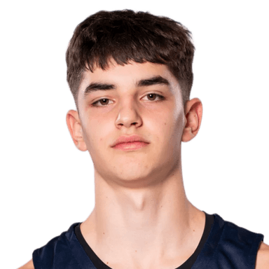 Igor STJEPANOVIC