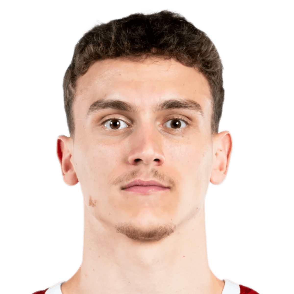 Mihael DAMJANOVIC
