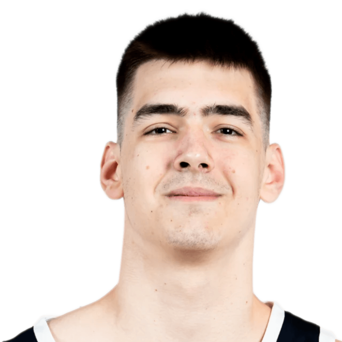 Nikola DZEPINA