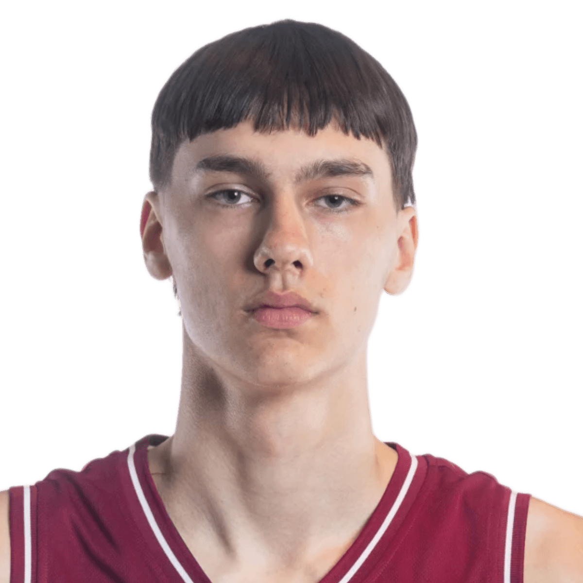 Verners DRAVA