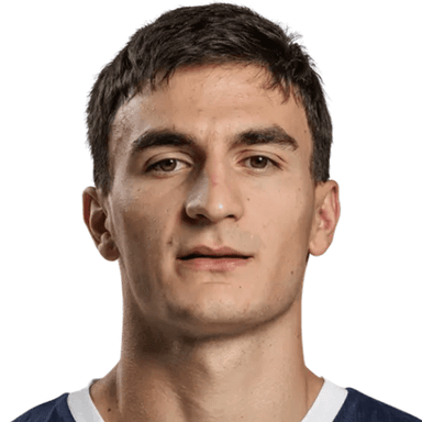 Vuk RADOJICIC