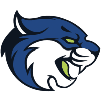 Bryant Stratton (Albany) Bobcats