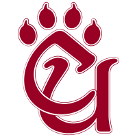 Concord Mountain Lions