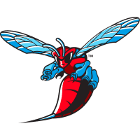 Delaware State Hornets