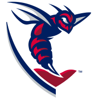 Shenandoah Hornets