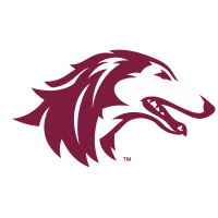 Southern Illinois Salukis